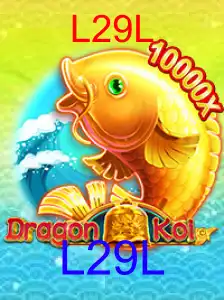 DragonKoi